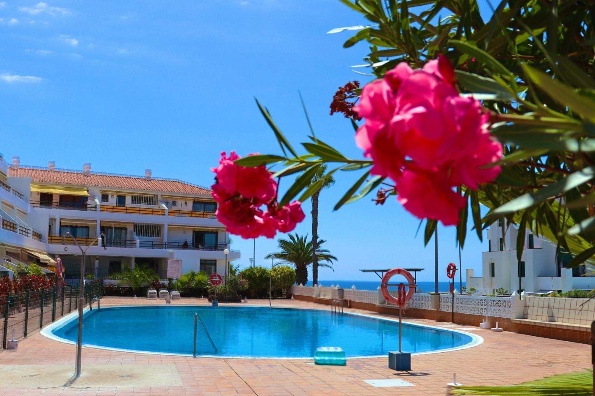 Sunflower Apartment Just Relax Puerto de Santiago  Exterior photo